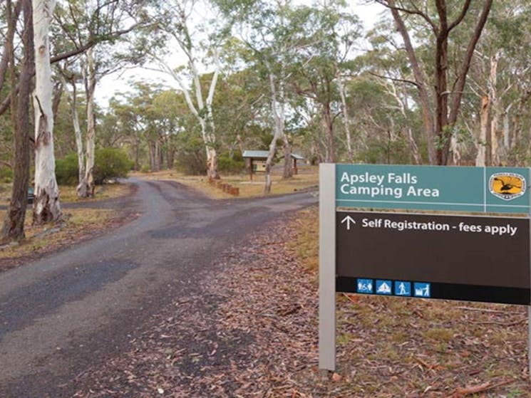 Apsley Falls Campground, Oxley Wild Rivers National Park. Photo: Rob Cleary/DPIE