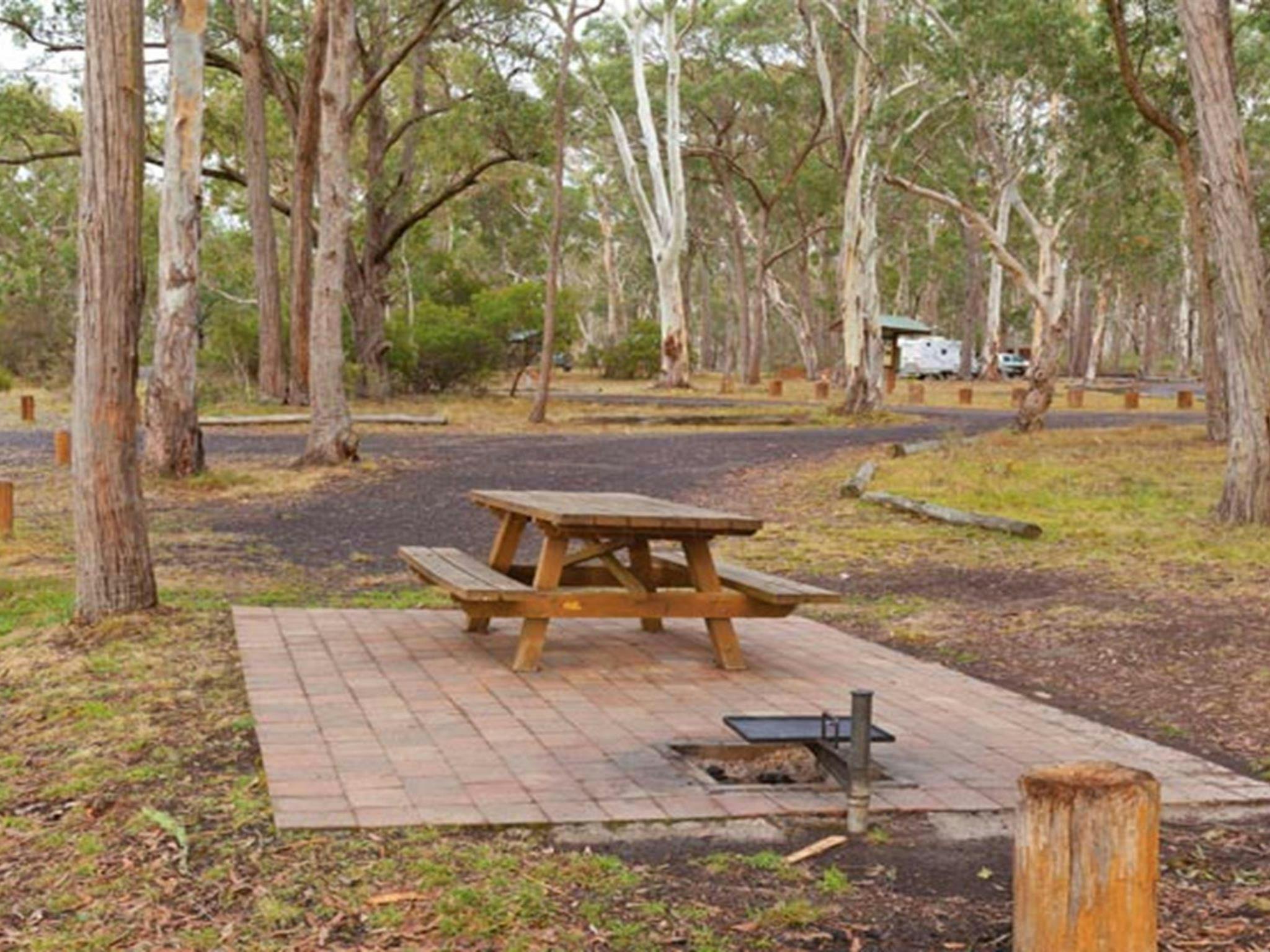 Picnic table at Apsley Falls campground, Oxley Wild Rivers National Park. Photo: Rob Cleary/DPIE