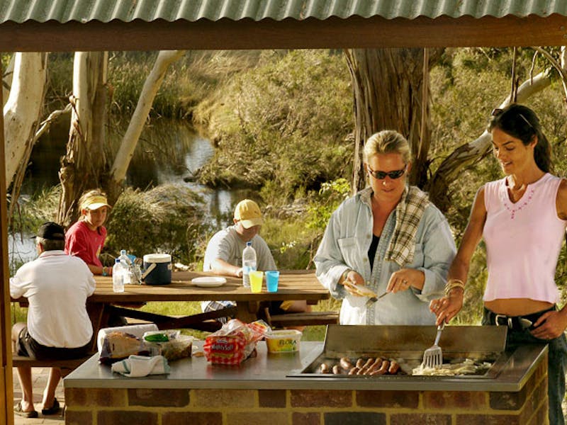 People cooking on the Barbecues, Apsley Gorge picnic area. Photo: Paul Mathews