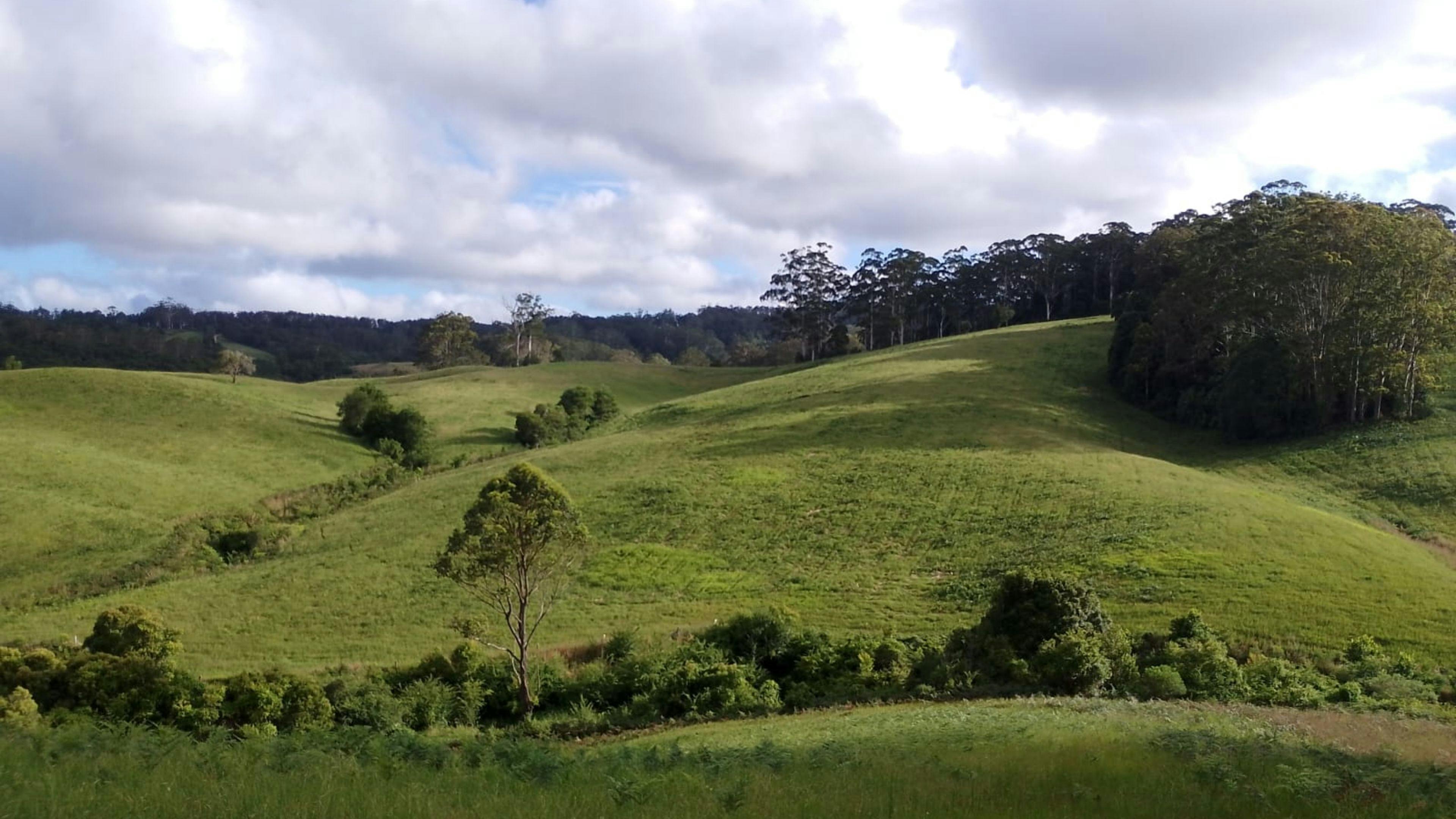 내 마음의 평화