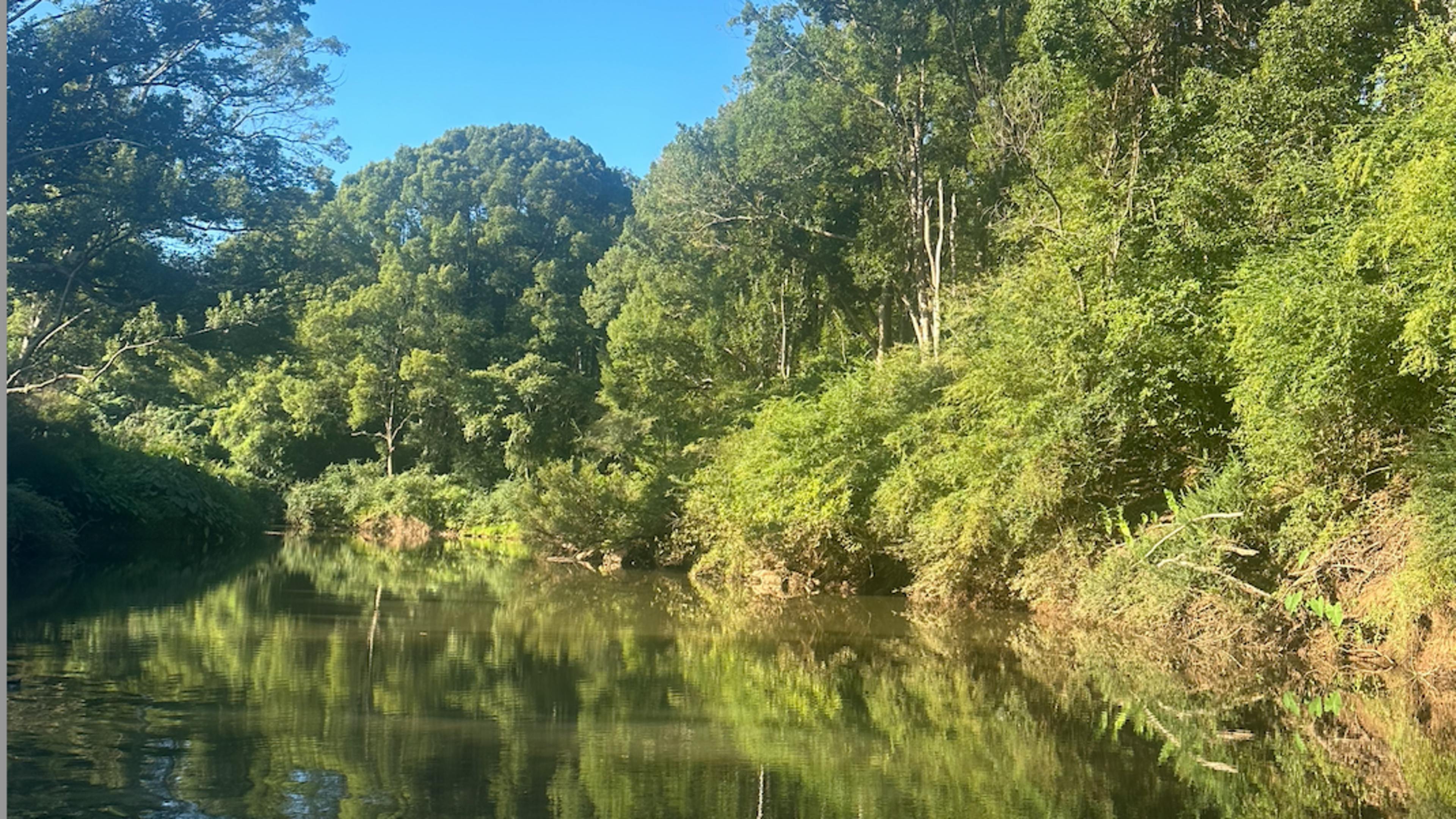 威爾遜河度假村
