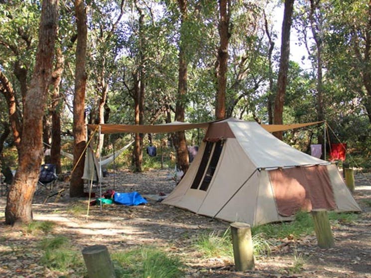 Tent in Aragunnu campground, Mimosa Rocks National Park. Photo: John Yurasek Copyright:NSW