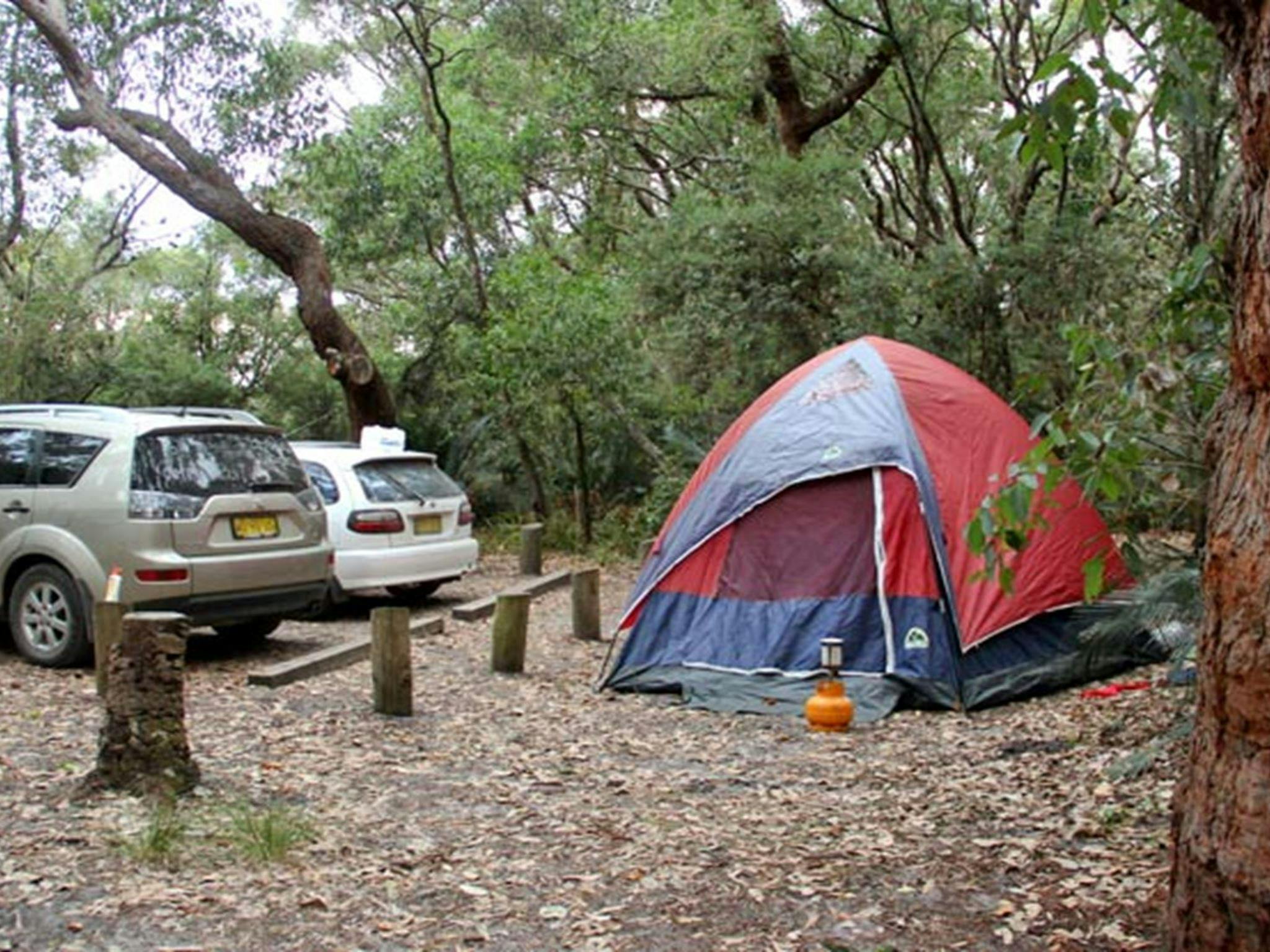 Aragunnu campground, Mimosa Rocks National Park. Photo: John Yurasek Copyright: NSW Government