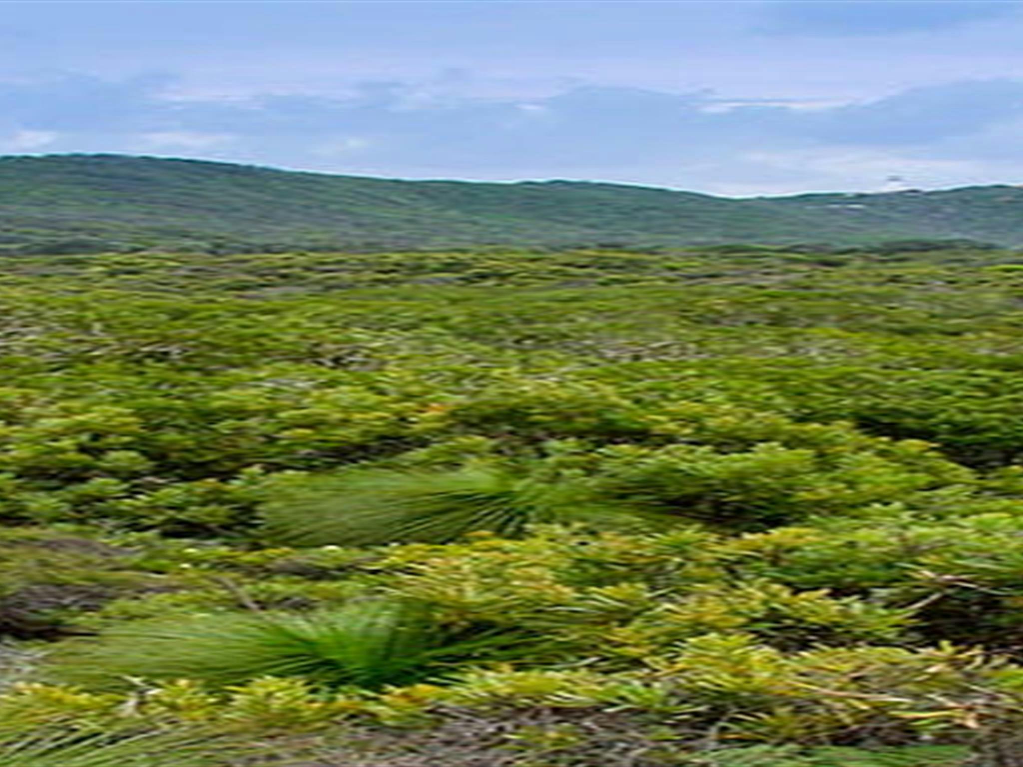 アラクウォール国立公園。写真：ジョン・スペンサー／ニューサウスウェールズ州政府