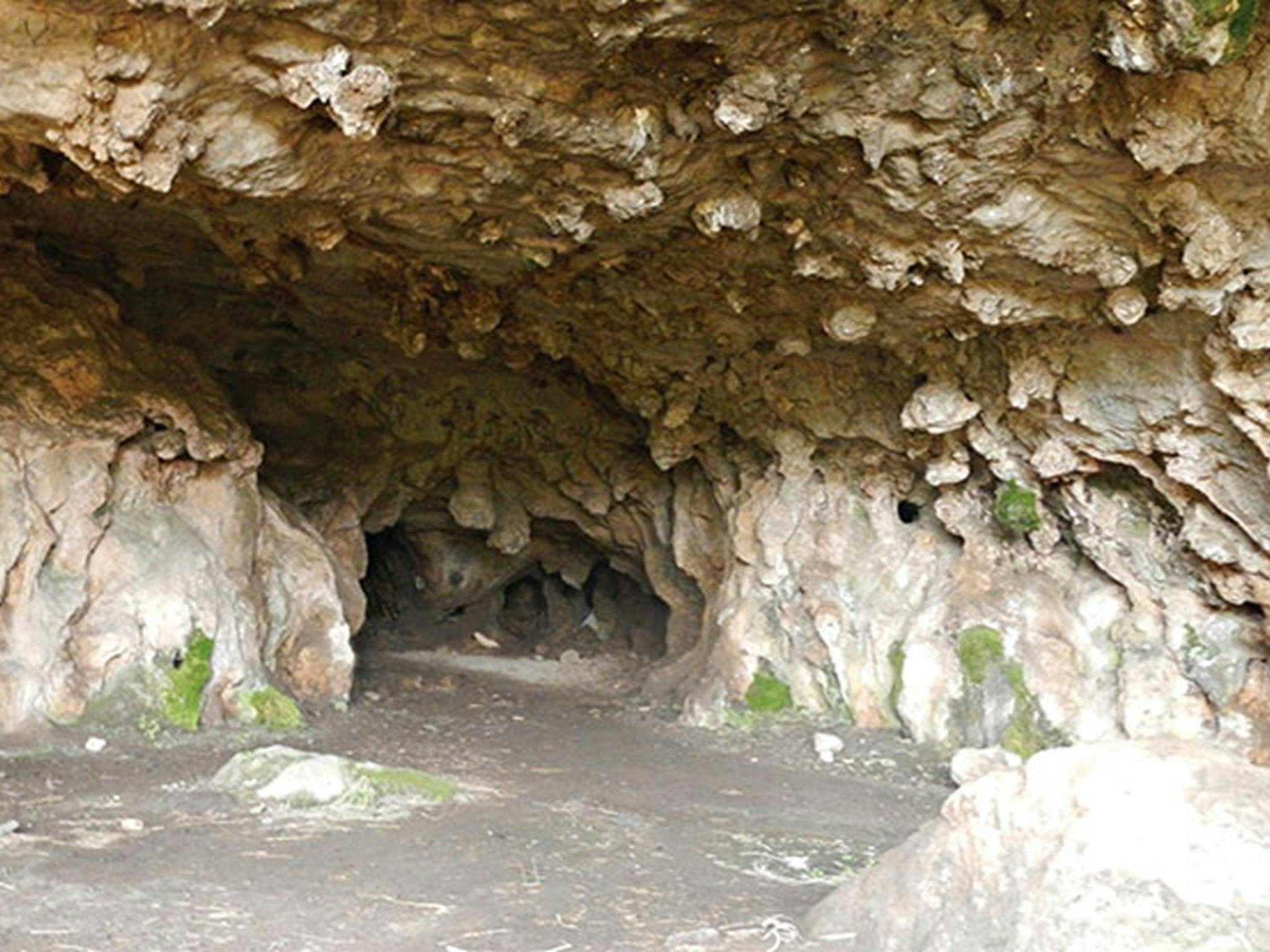 Borenore Karst Conservation Reserve