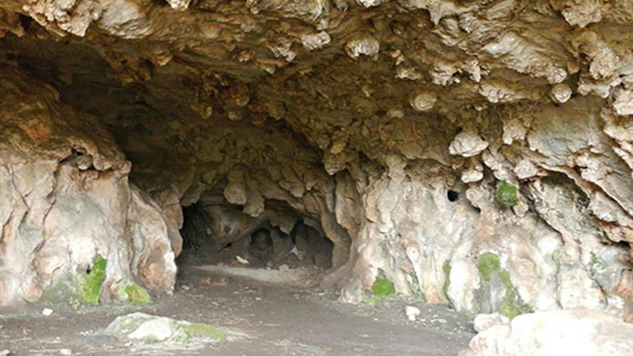 Borenore Karst Conservation Reserve