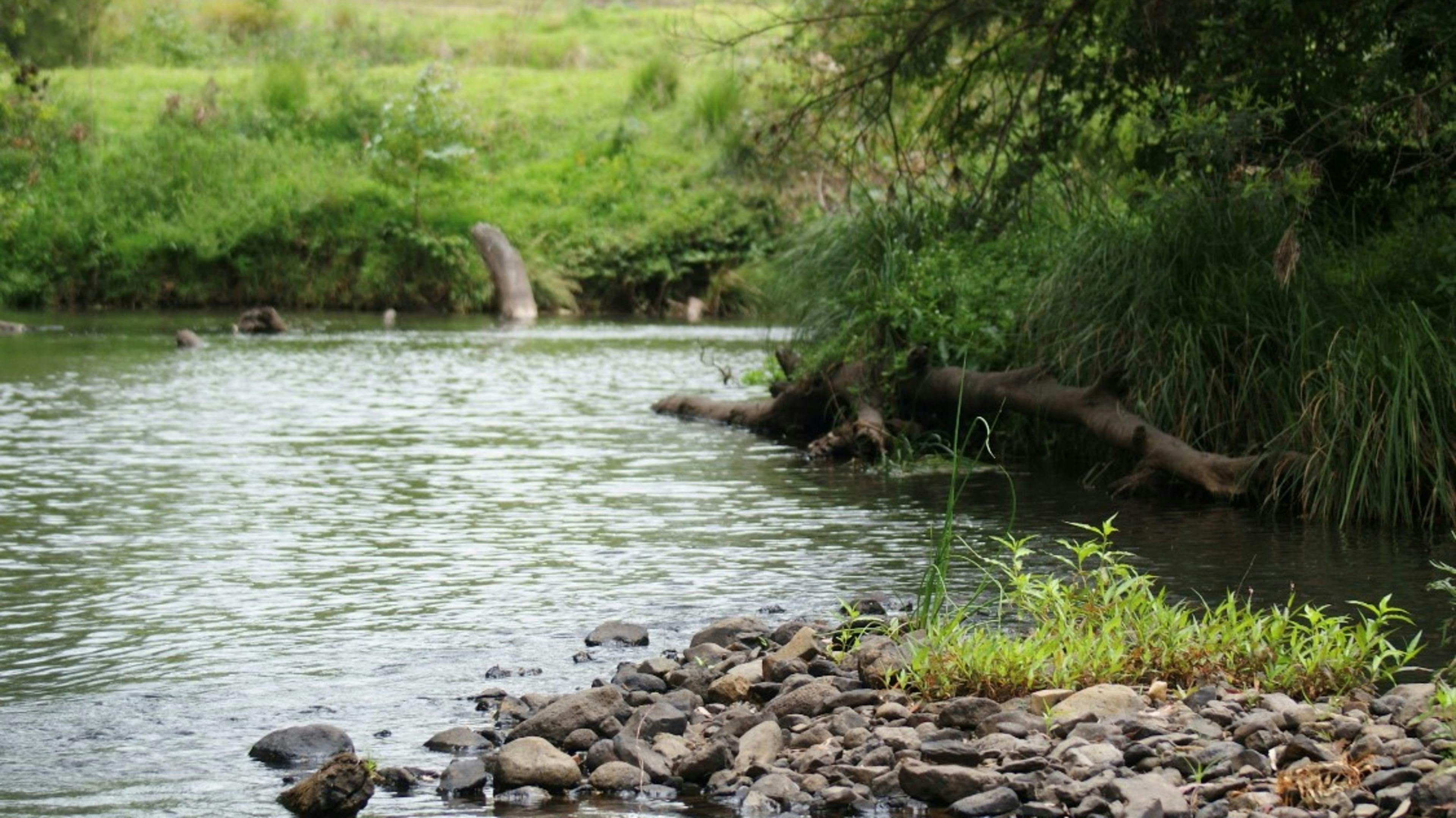 Aroona Farm