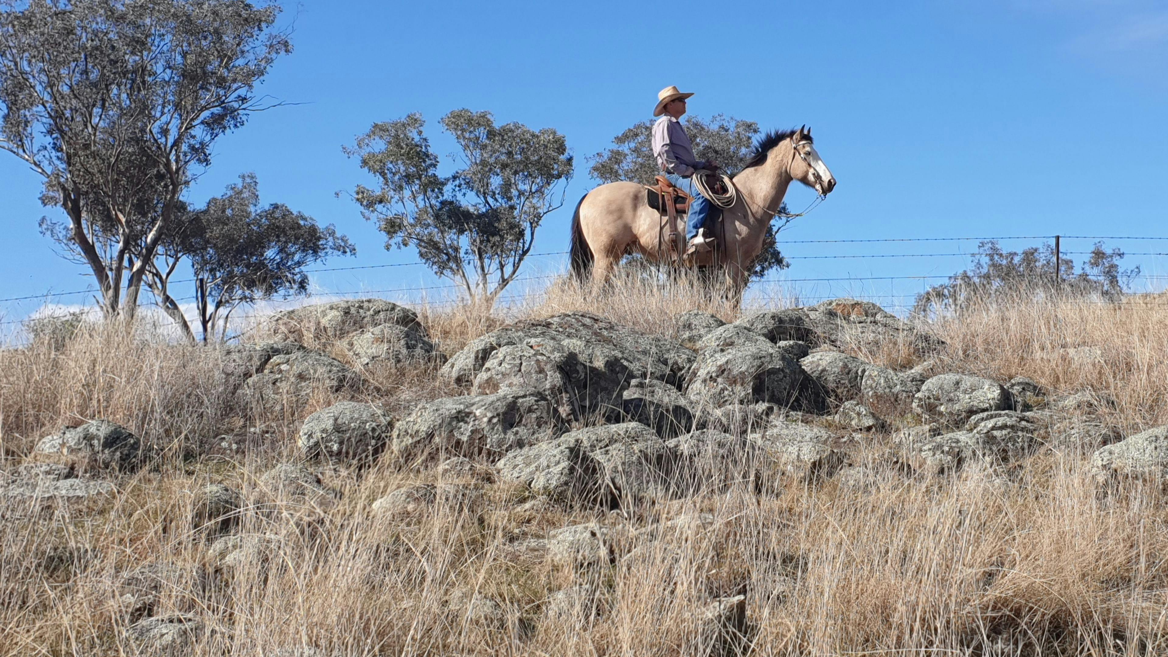 Ascot Park (currently unavailable)