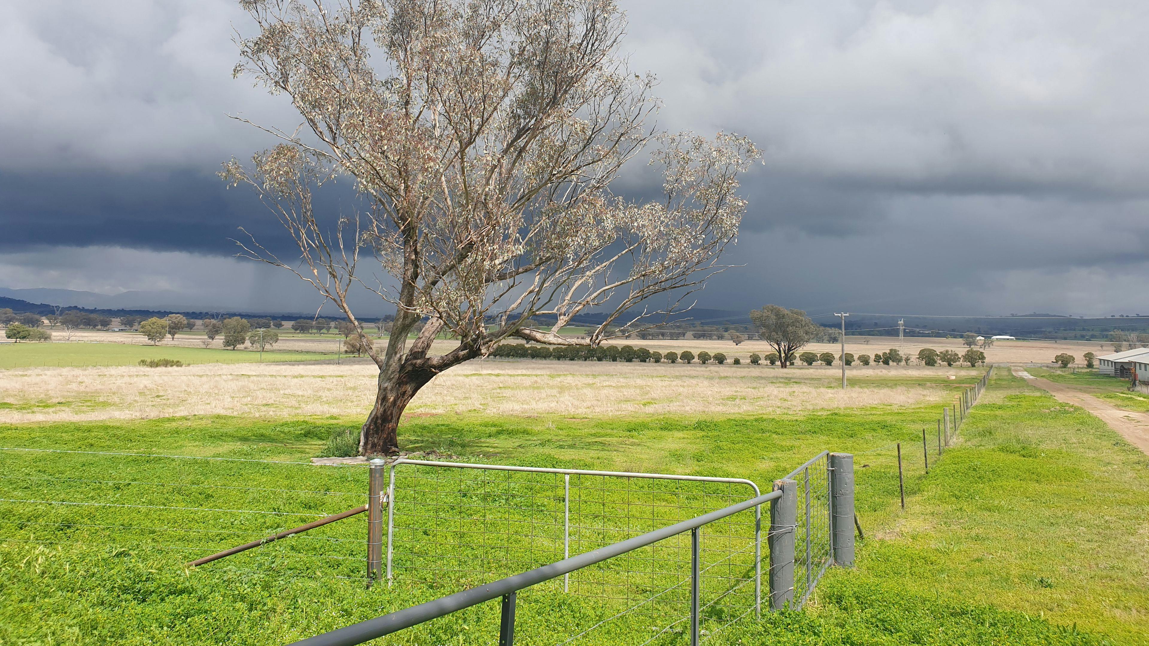 Ascot Park (currently unavailable)