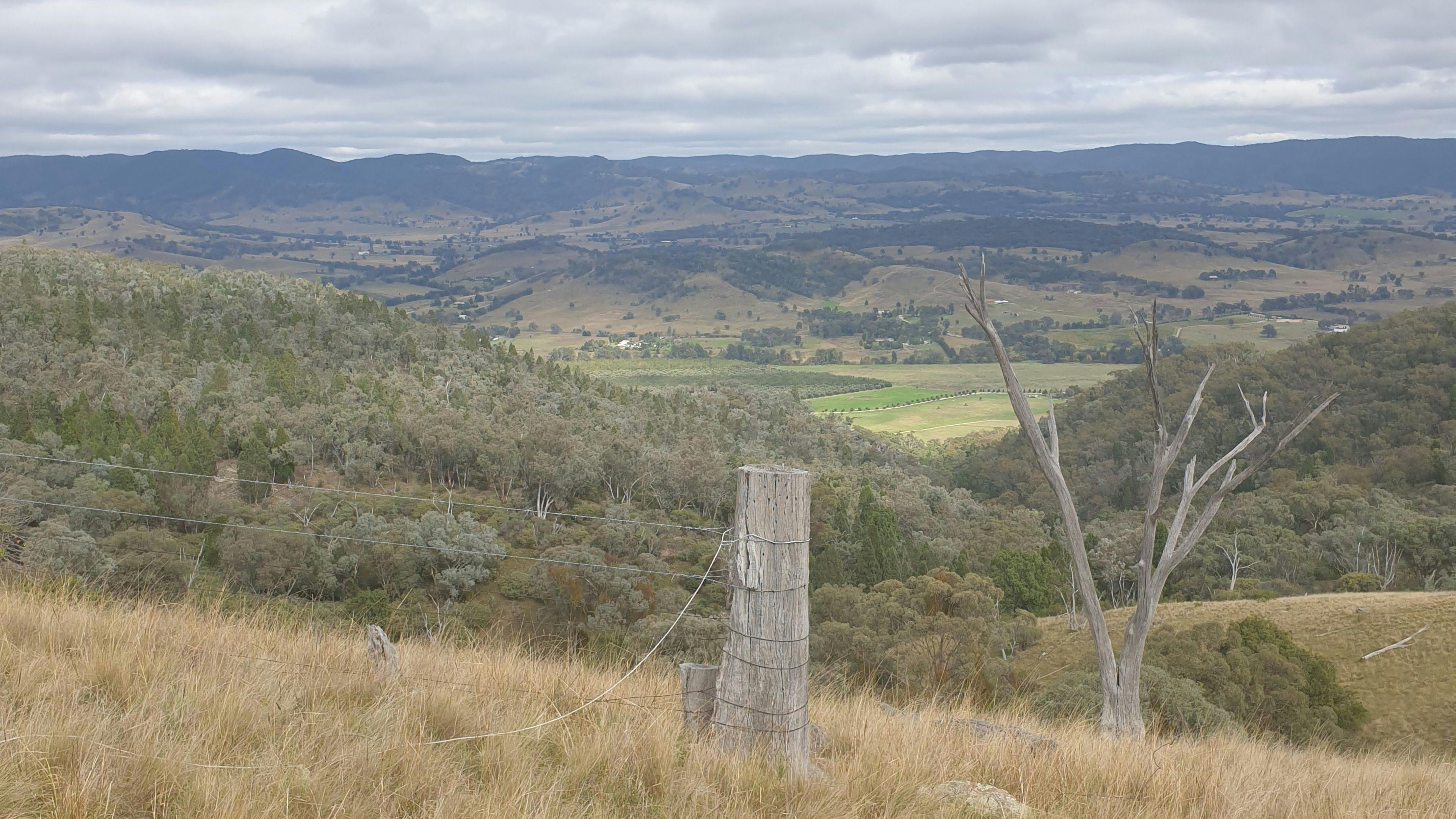 View from Mt Knowles
