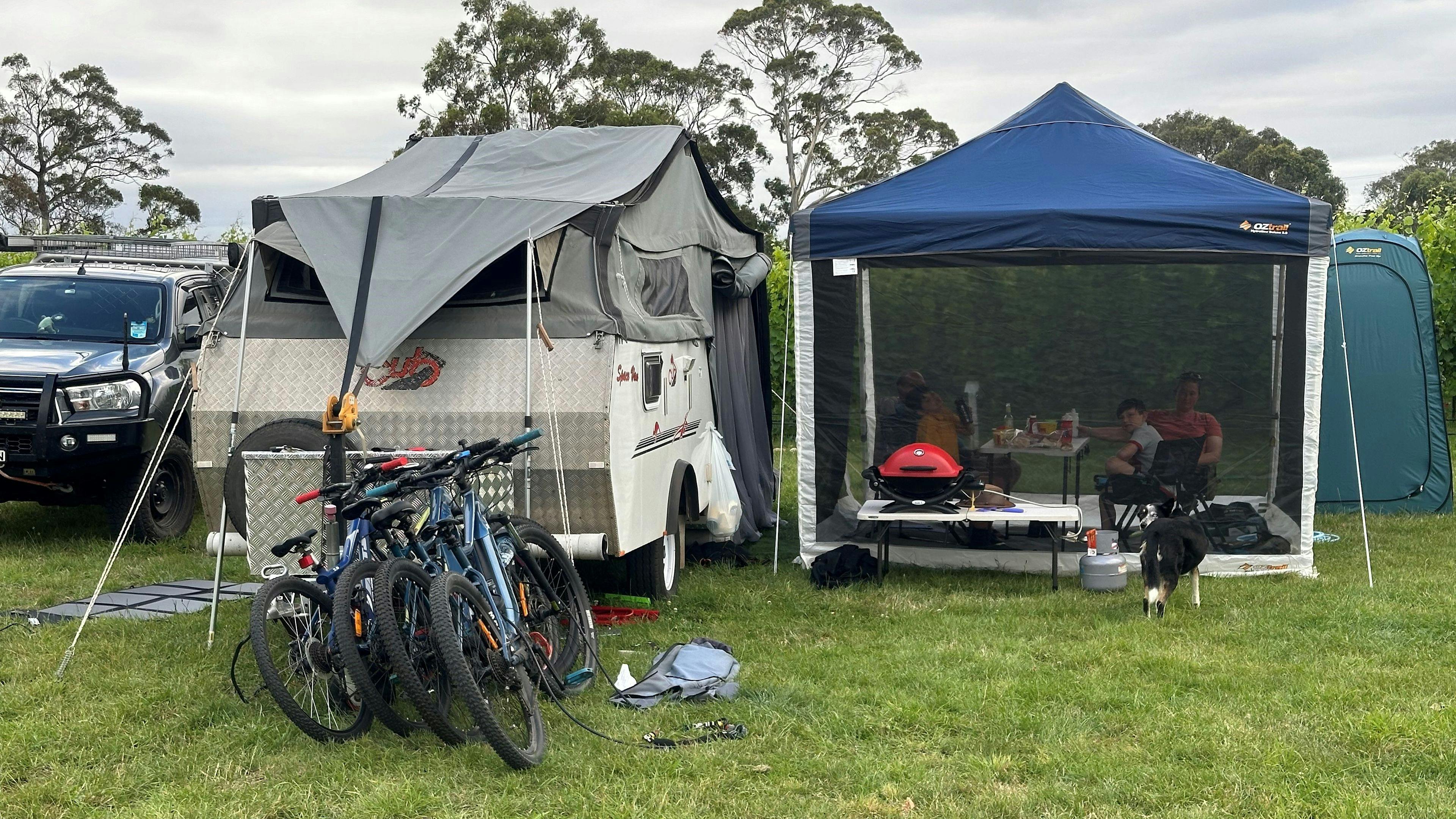 Craigie Knowe Vineyard