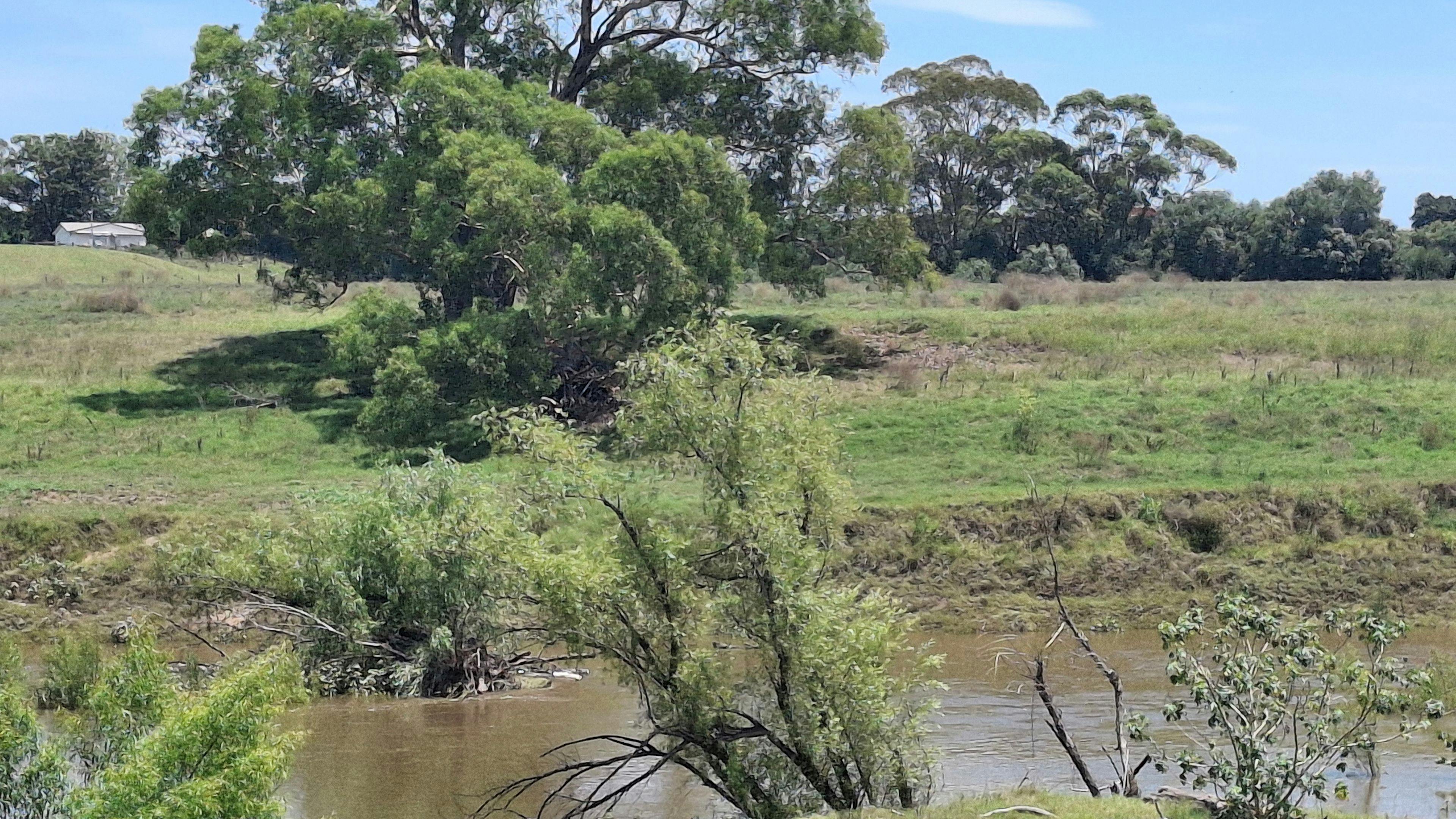 Ayr Farm Riverside Camp