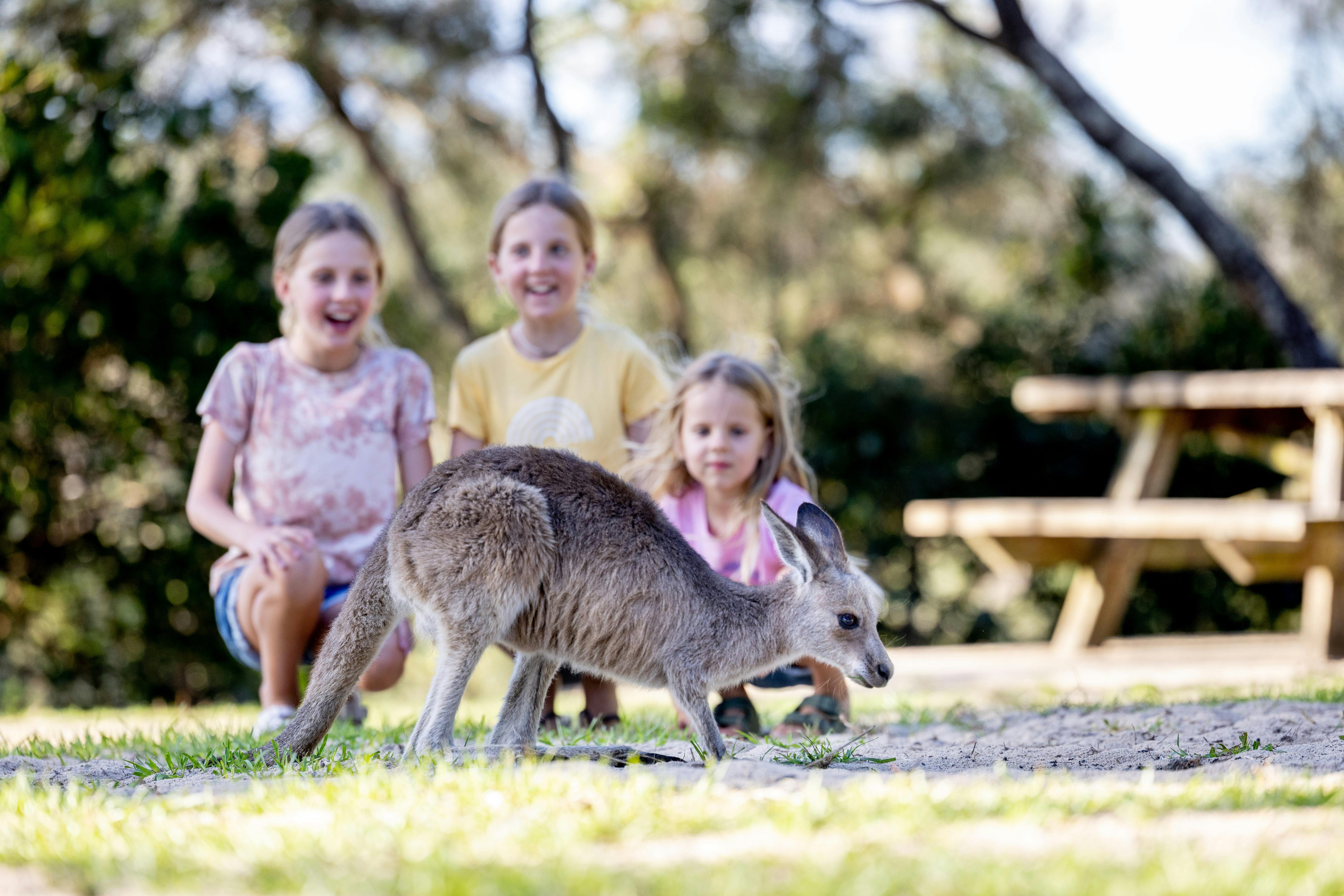 Drei lächelnde Kinder stehen neben einem Wallaby, das Gras frisst.