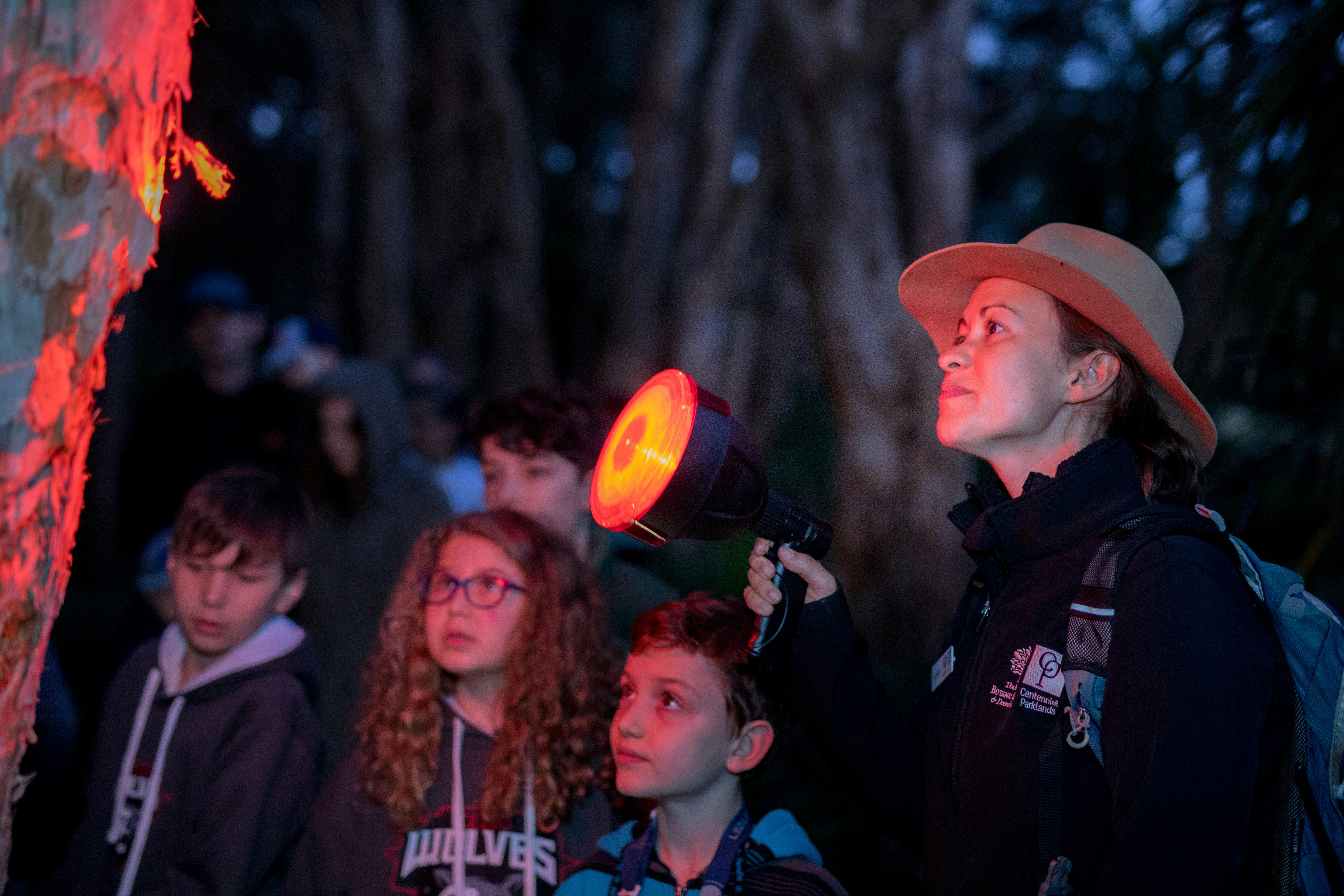 Spotlight Image - Centennial Park