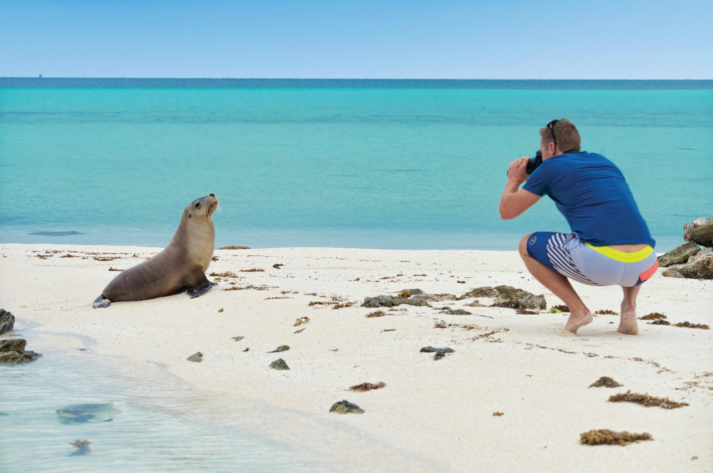 Best of Coral Coast, Abrolhos Islands, Western Australia