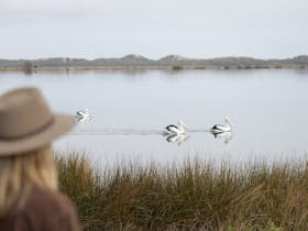 Leschenault Estuary