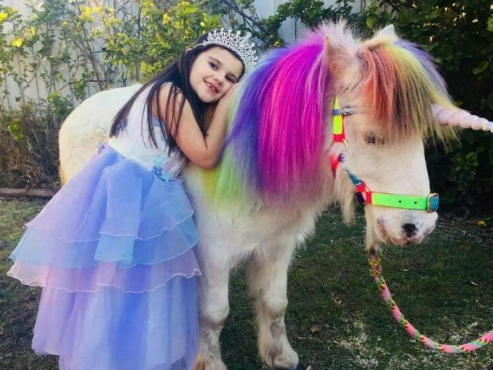 Image for Inside a Rainbow Family Day Out - Central Coast