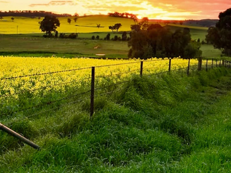 Image for Glen Innes Agri-Innovation Program Information Day