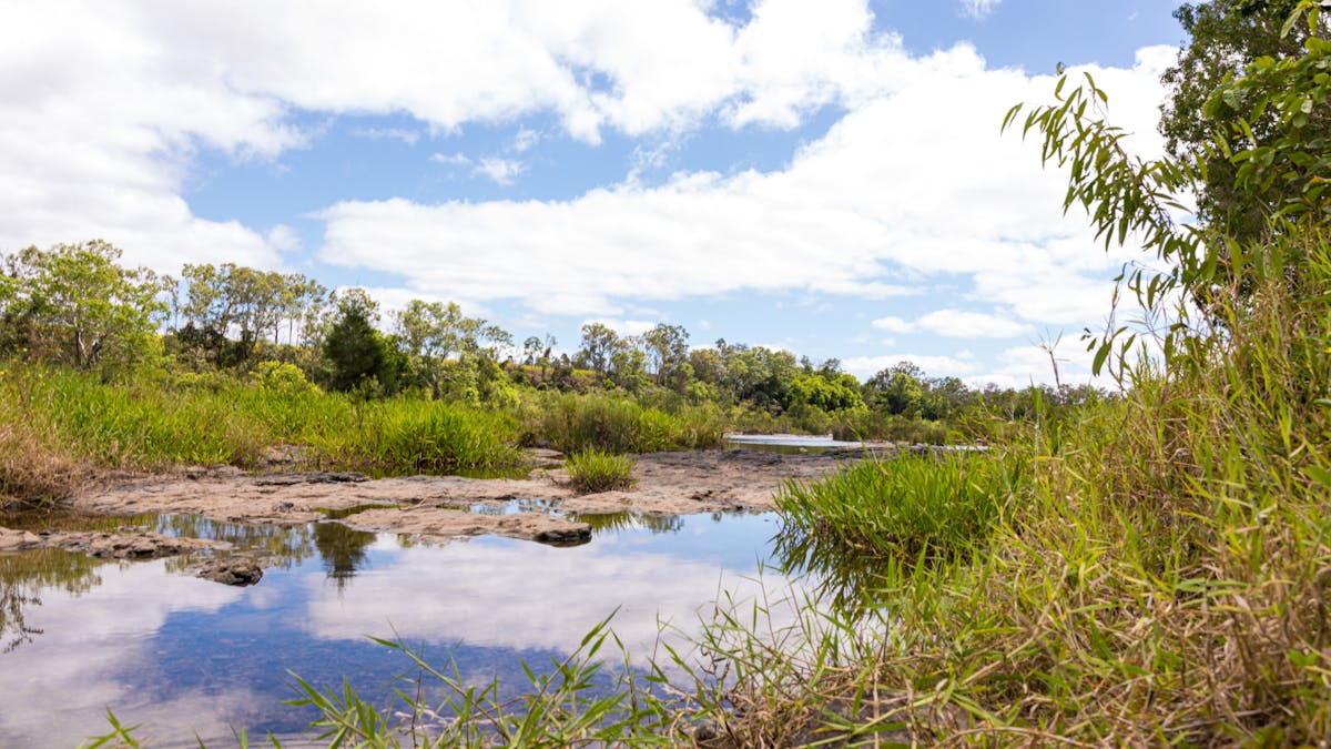 Fishing, Swimming, canoeing, Platypus spotting or just relax with the view.