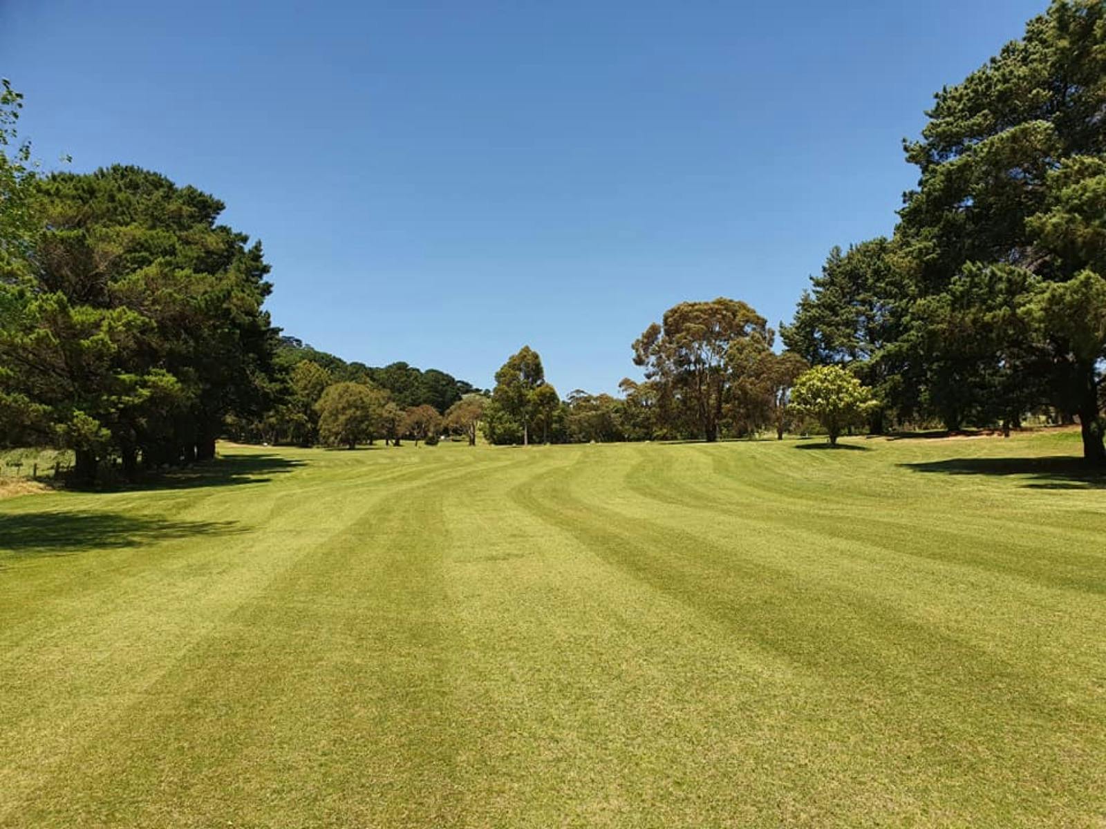 12 Apostles Find out more about the 12 Apostles Coast & Hinterland of
