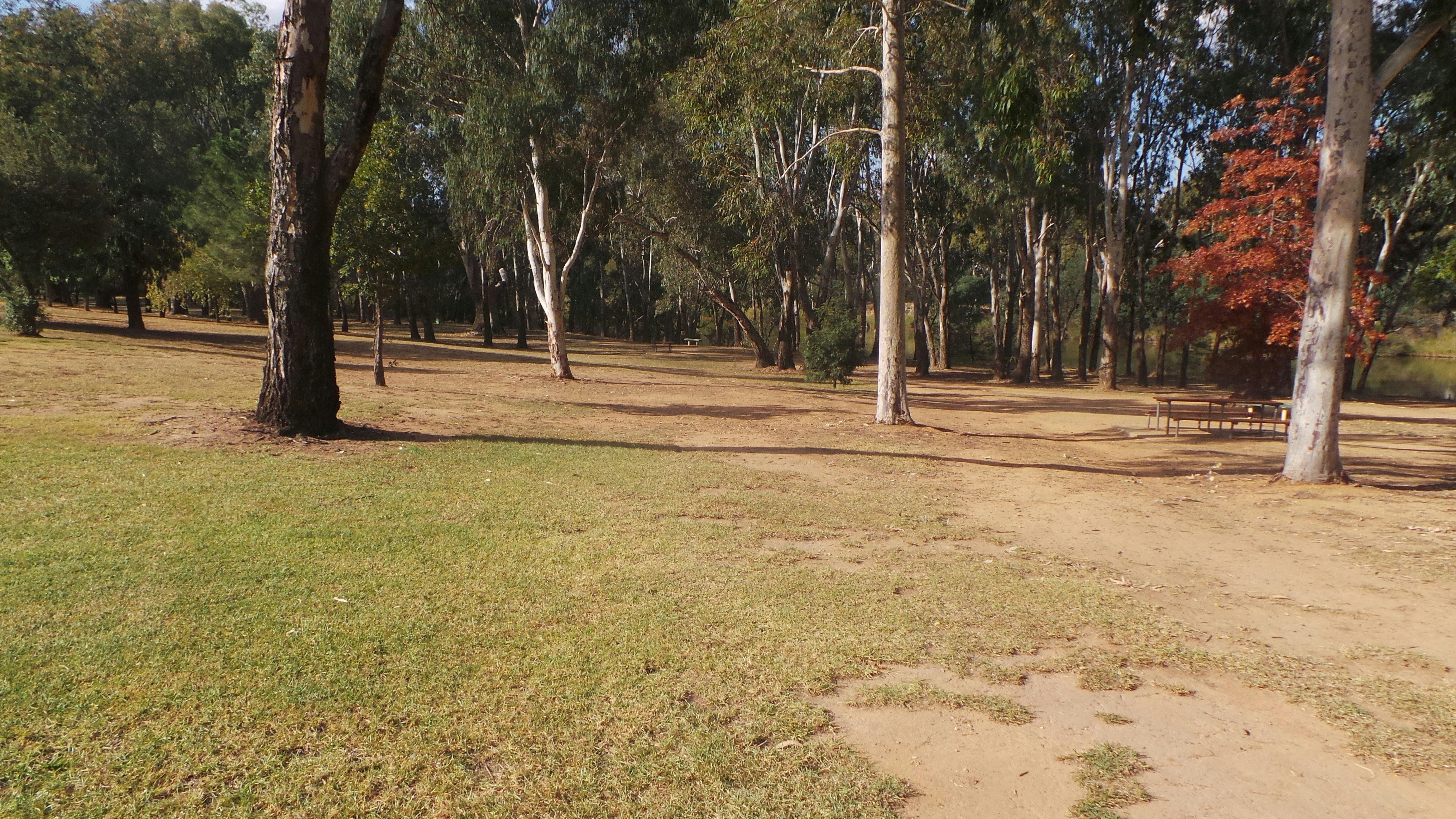 Picnic area at Lions Park South Corowa