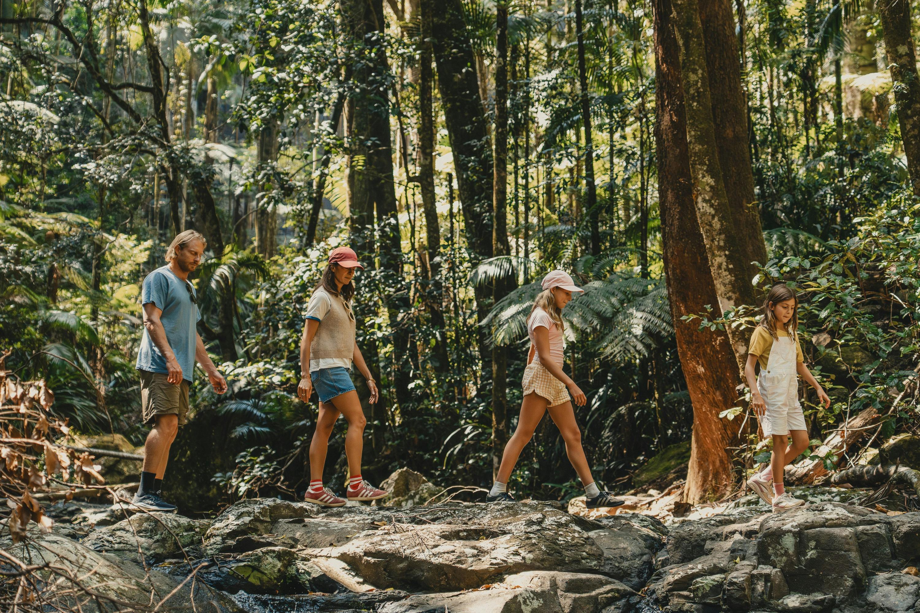 Family walking through Nightcap National Park