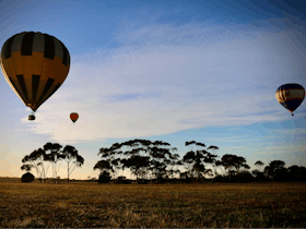 Three hot air balloons lift off from a local paddock just after sunrise