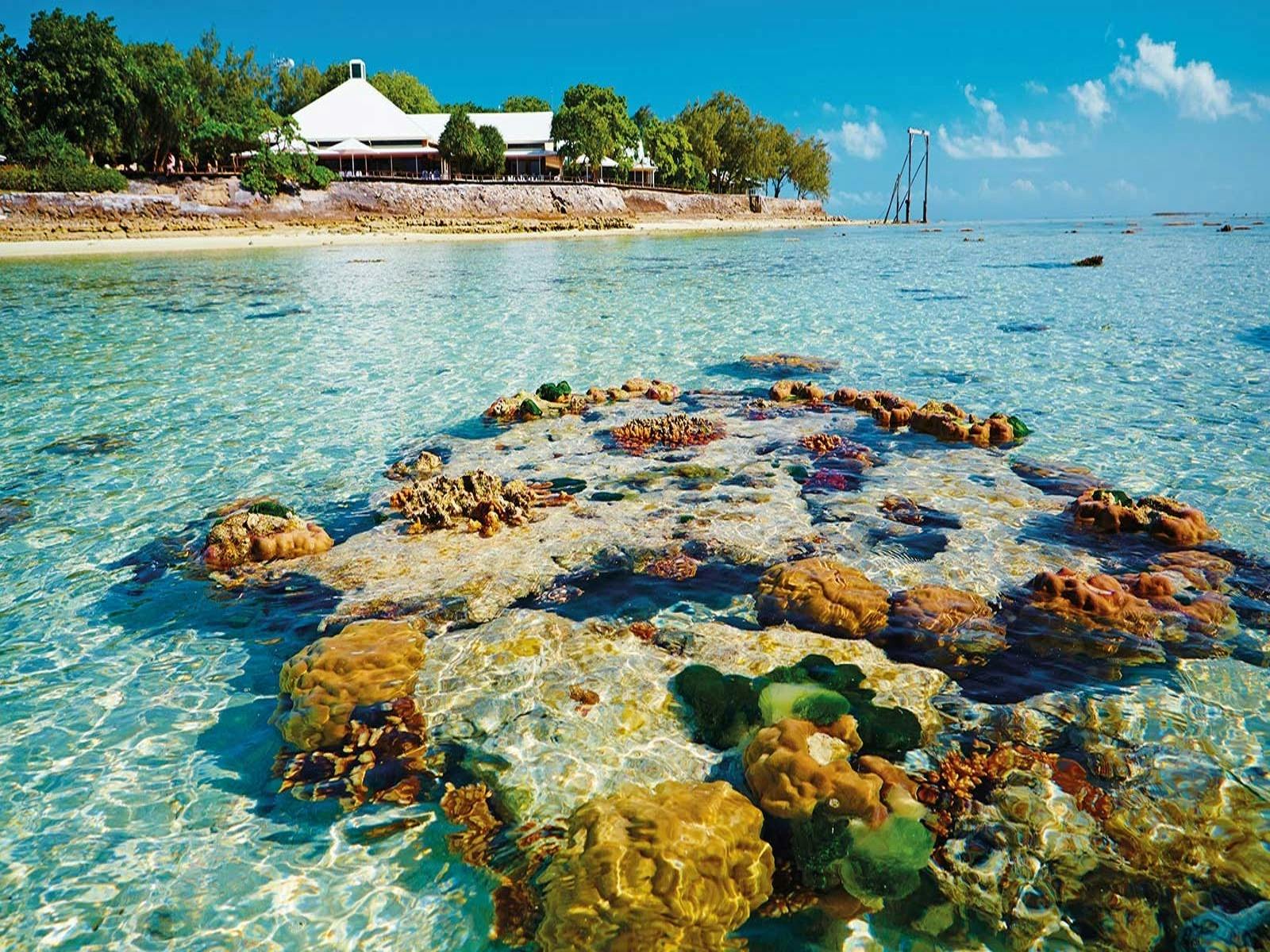 Carnarvon Gorge Canyons & Heron Island Coral Cay