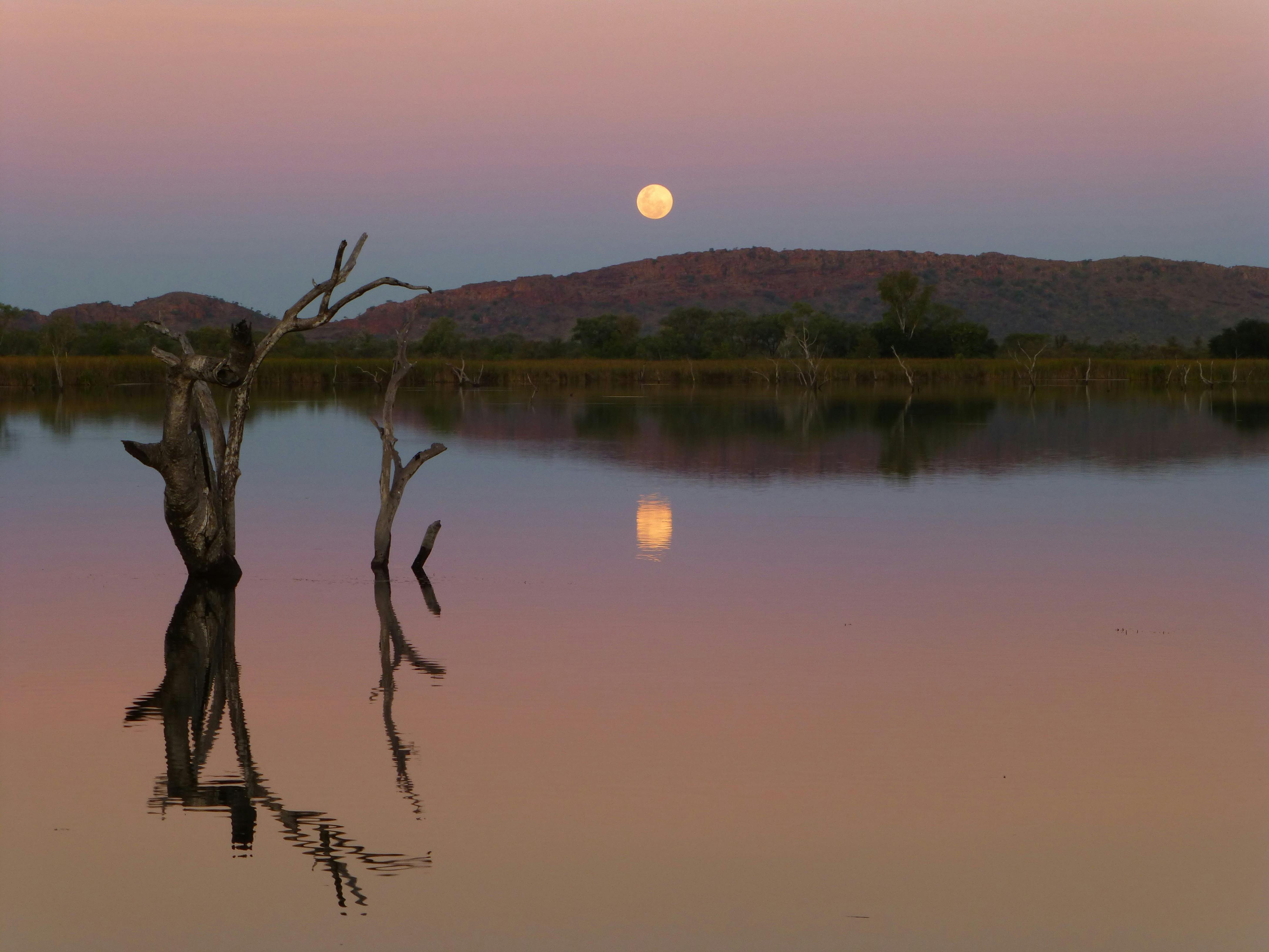 Kununurra Cuises, Kununurra, Western Australia