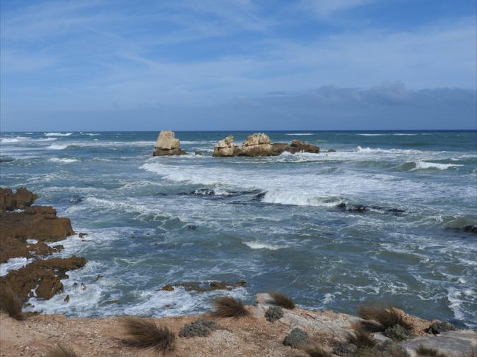 Cape Buffon Walking Trail