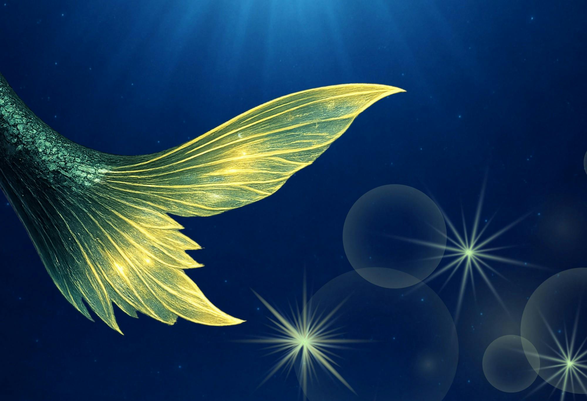 An image of the end of a mermaid tail swimming through the ocean.