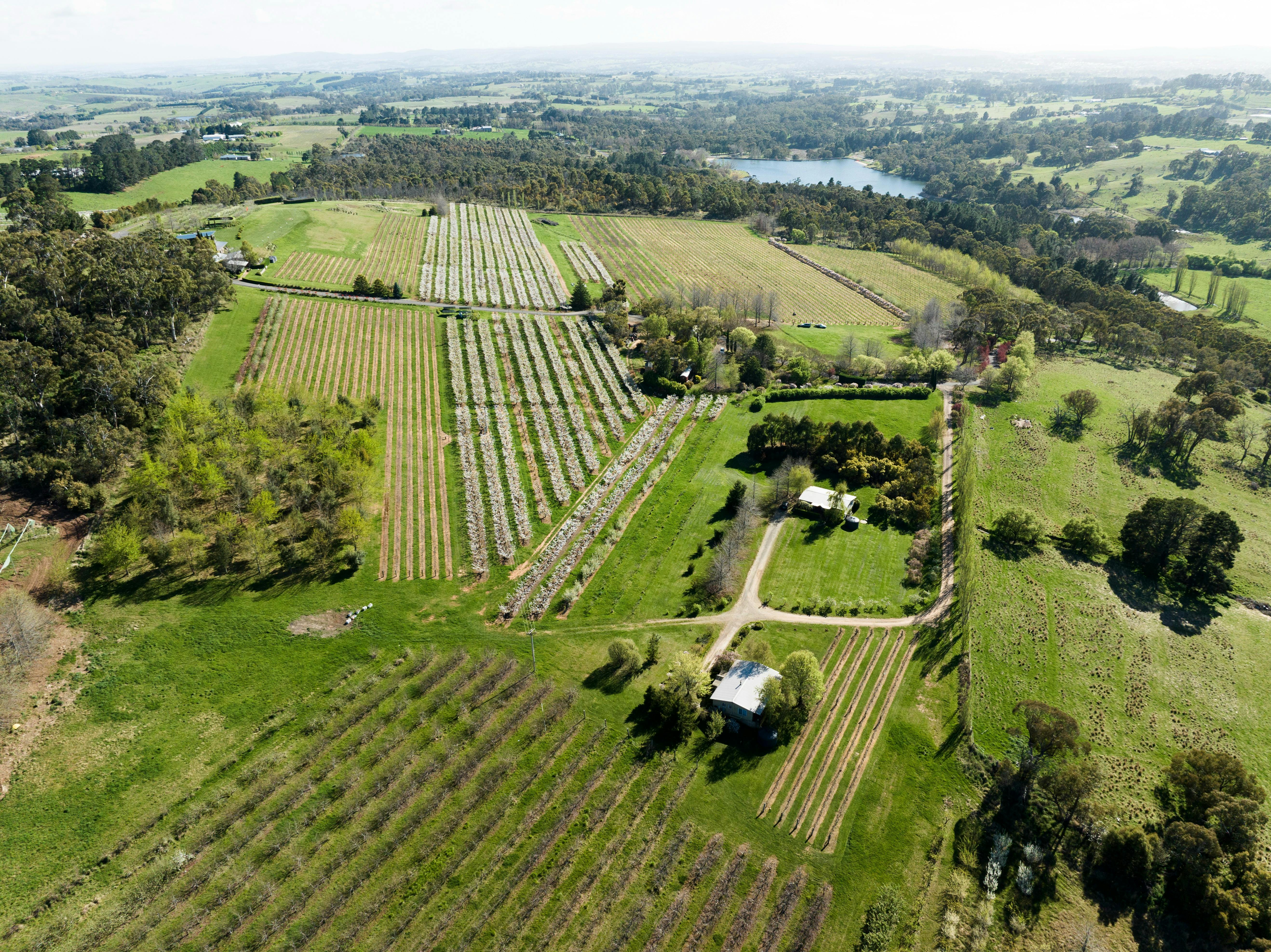 Aeral view in Spring looking towards Lake Canobolas