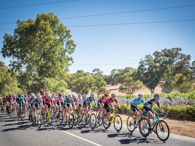 Santos Festival of Cycling: Be Safe Be Seen Women's Stage 3