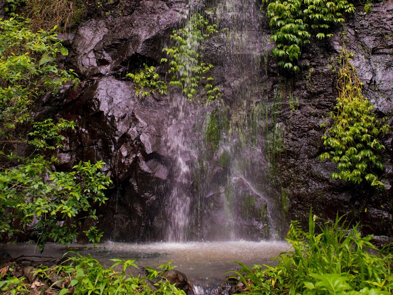 Nimbin Waterfall Retreat | NSW Holidays & Accommodation, Things to Do ...