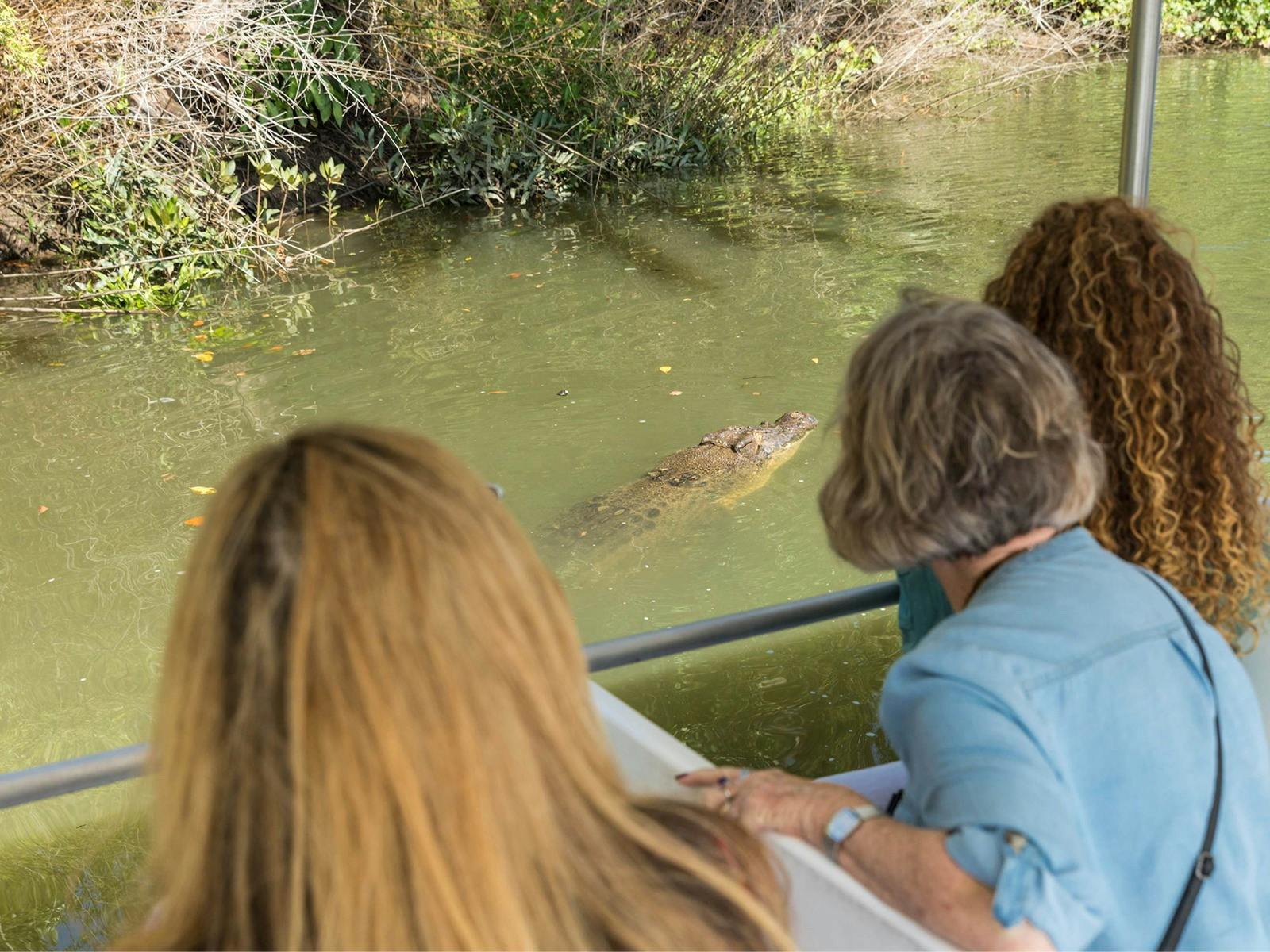 Spotting crocodiles on the Daintree River