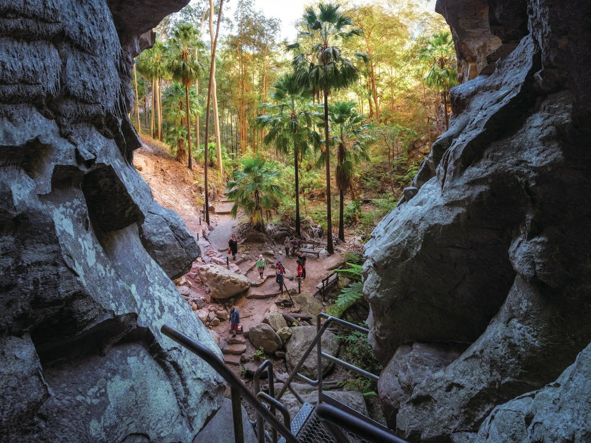 Carnarvon Gorge