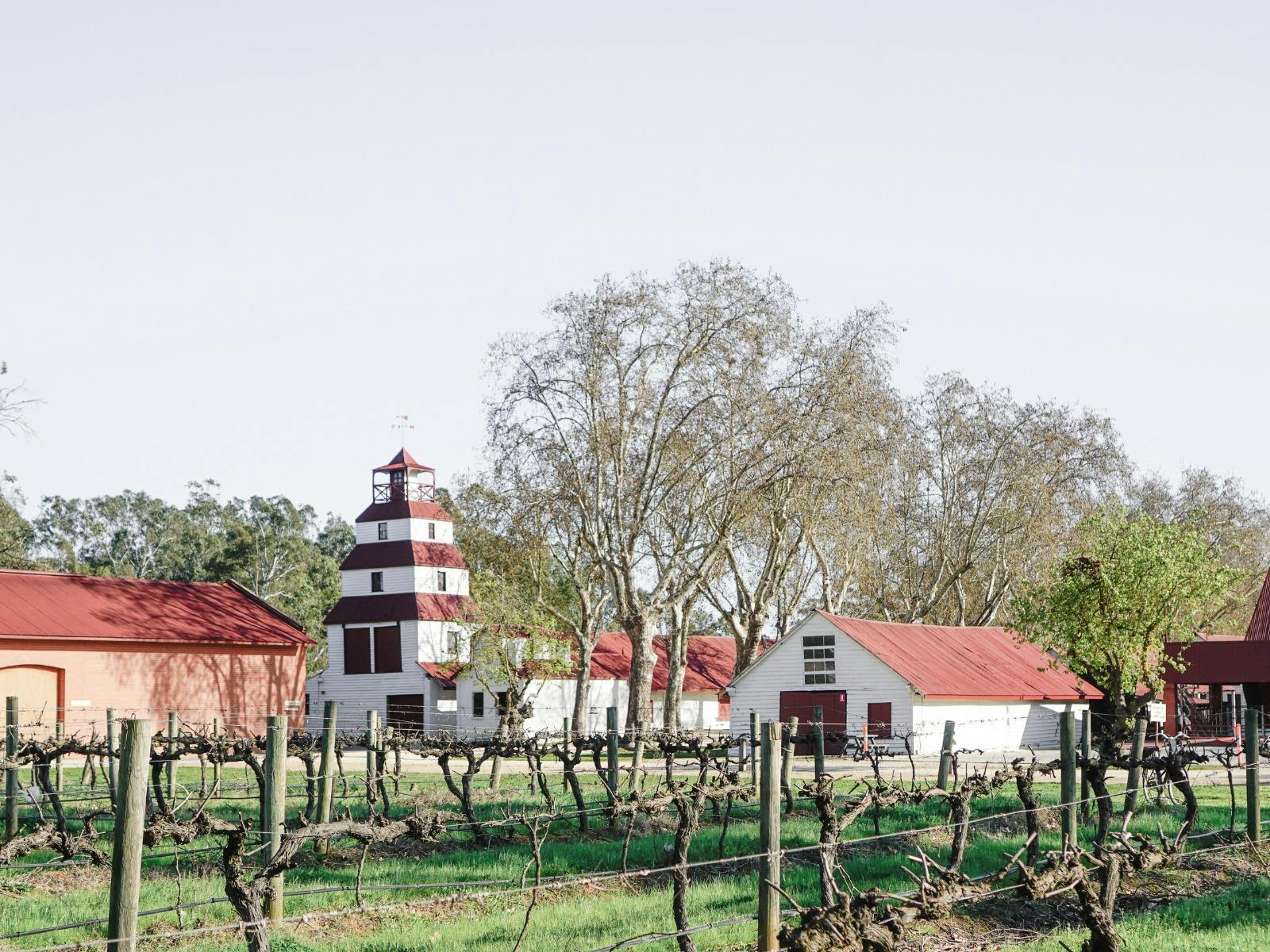 The Tahbilk Tower & Vineyard  in Spring