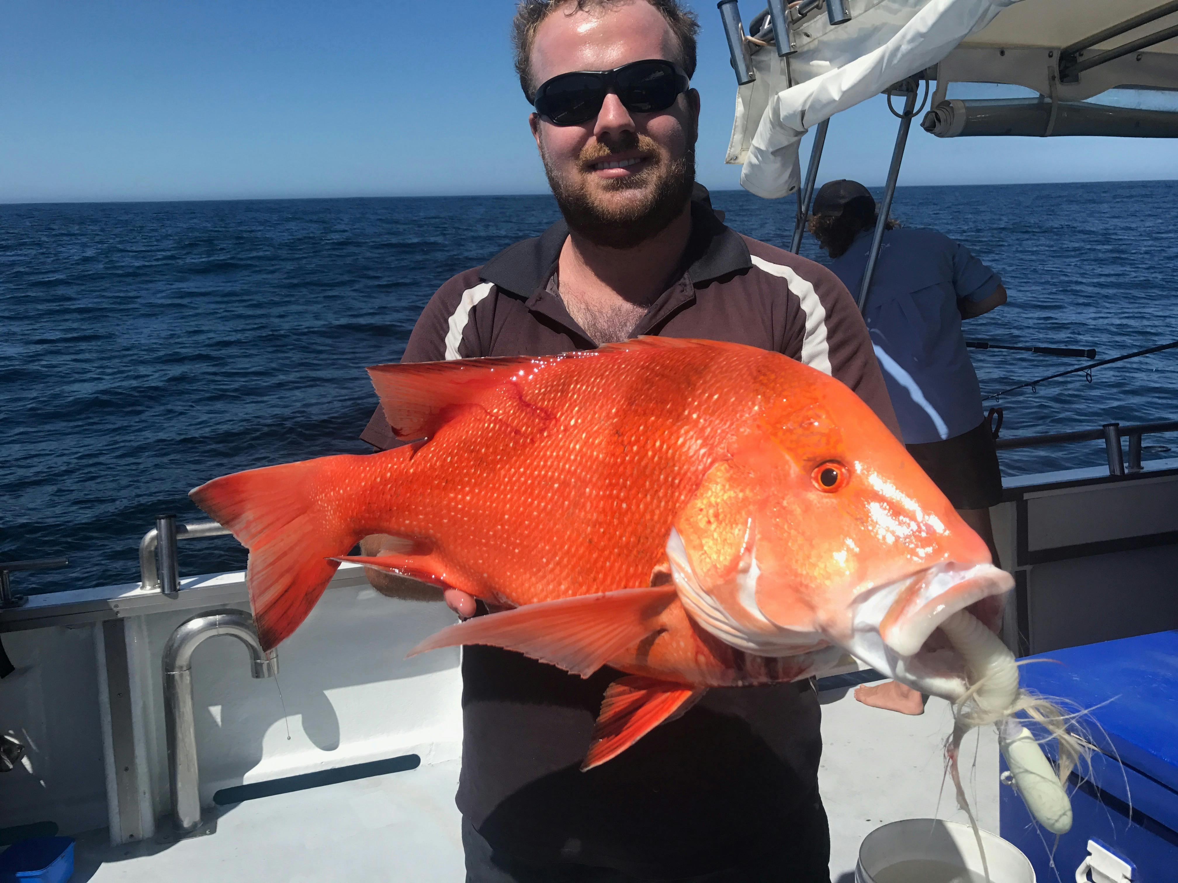 Abrolhos Islands Apache Charters