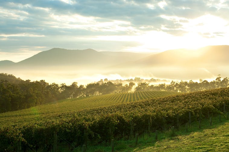 Private Charters Tailormade Tours
