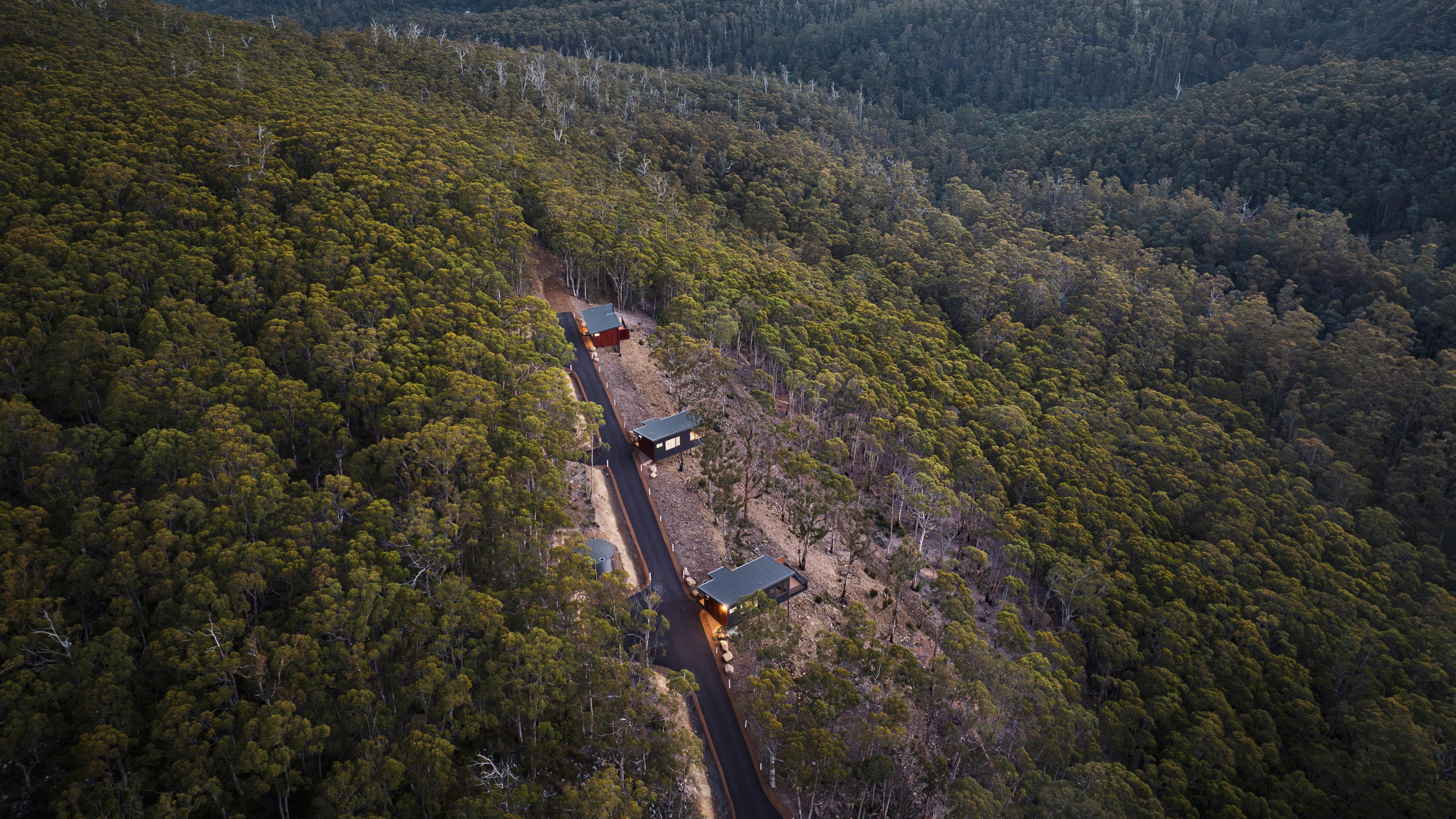 Birdseye view of three eco cabins perched on a hillside surrounded by a forest of trees