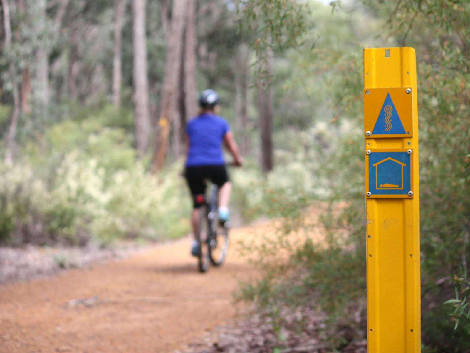 Cycling along the Munda Biddi Trail from Albany to Walpole