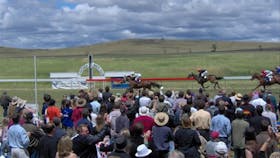 Cooma Sundowners Cup