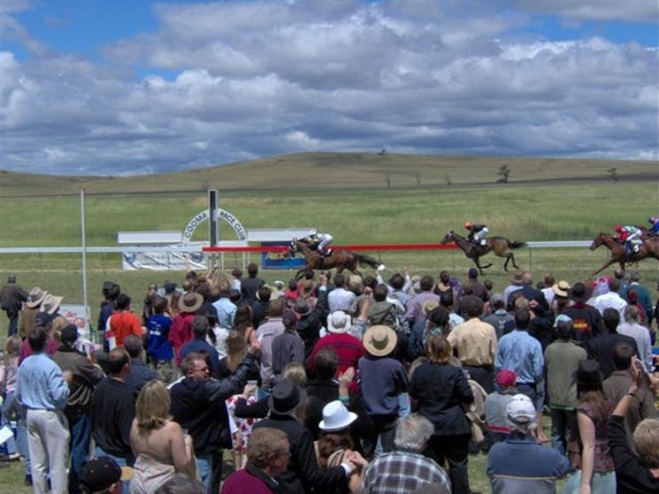 Race Day Cooma