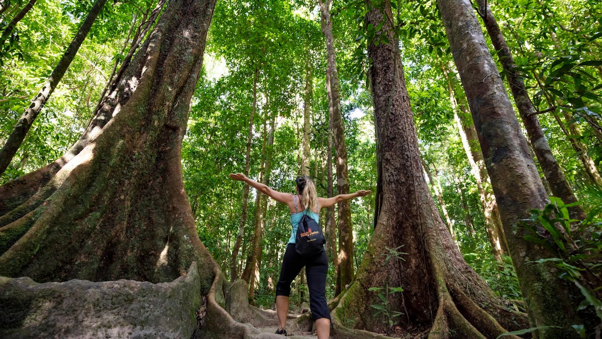 standing arms out under giant trees in the rainforest