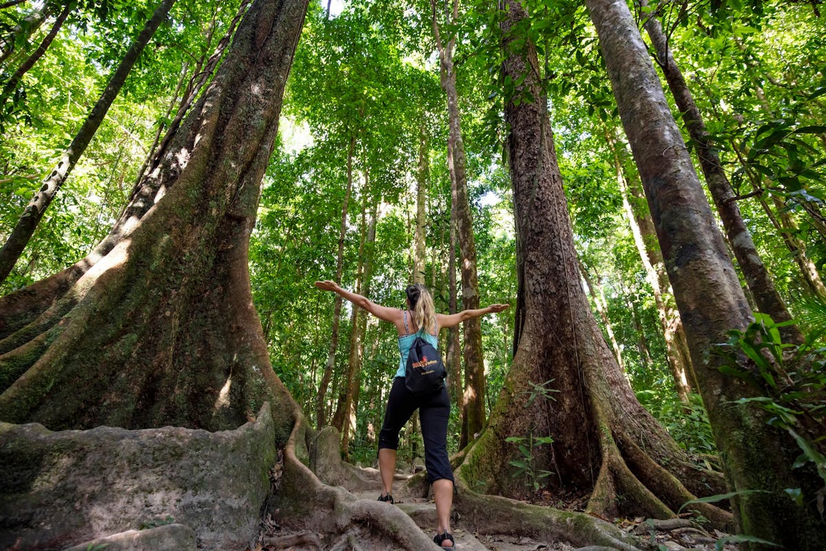 standing arms out under giant trees in the rainforest
