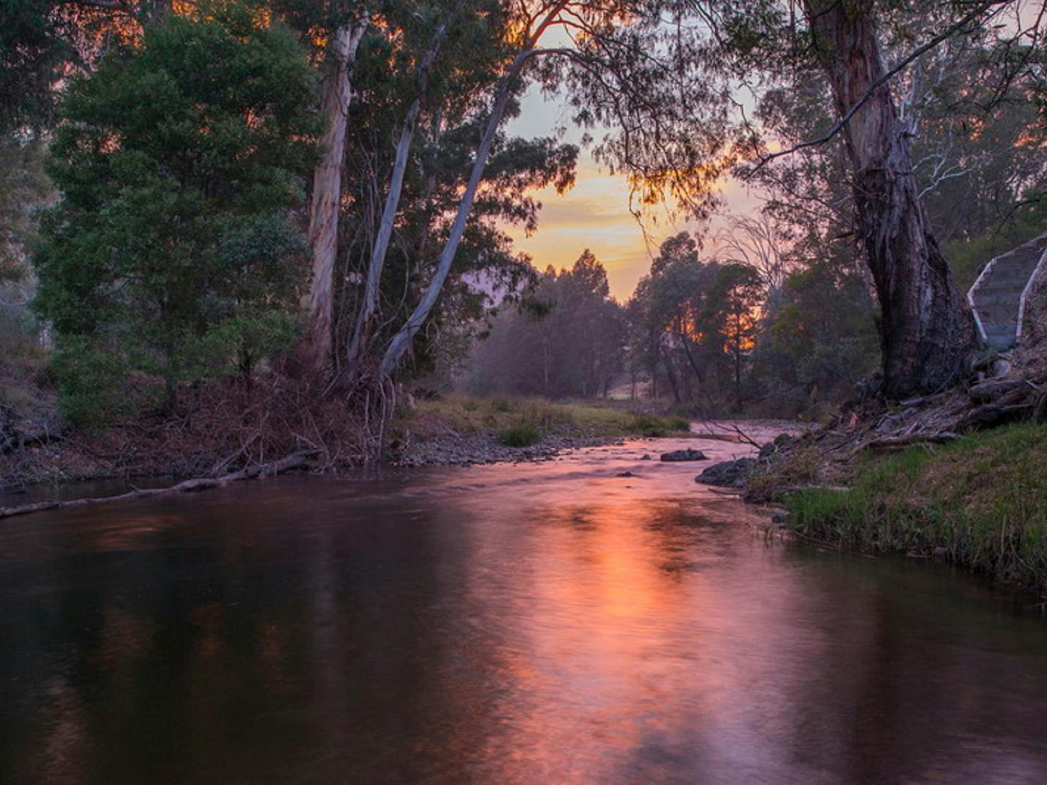 Howqua River sunrise