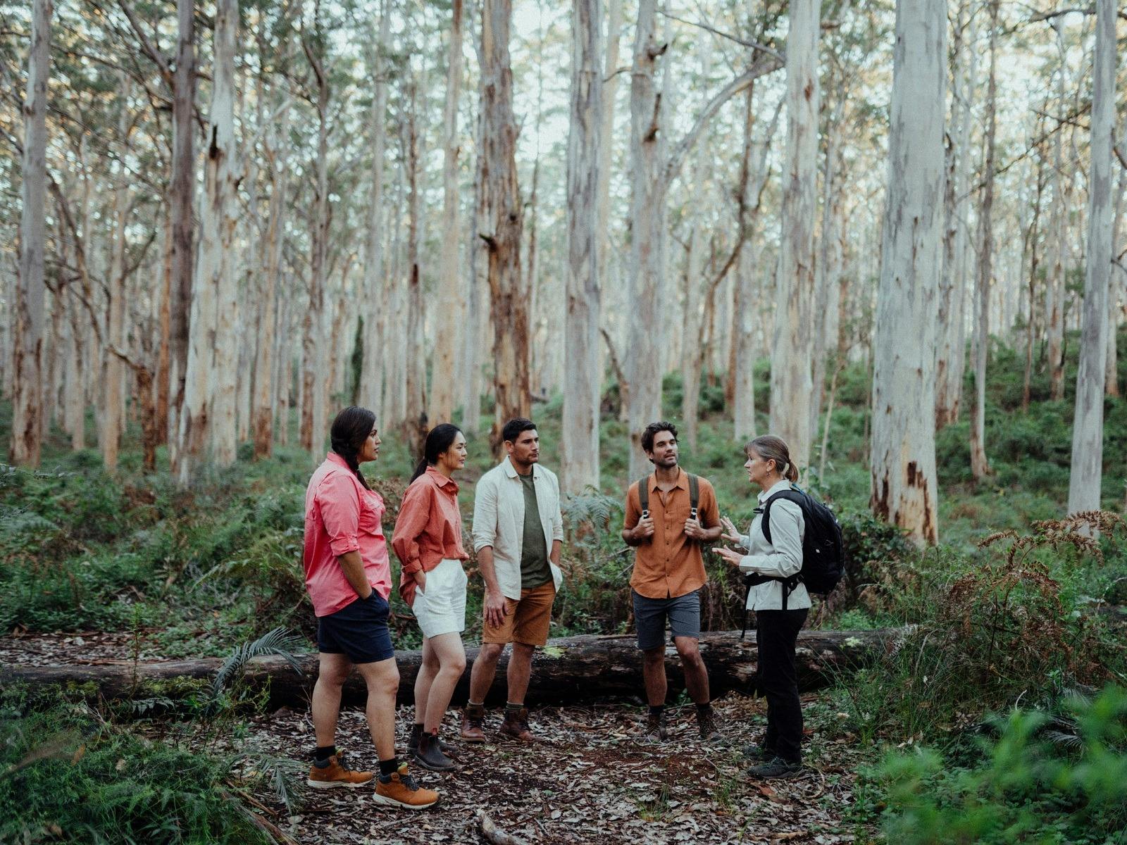 Boranup Karri Forest, Margaret River, Western Australia
