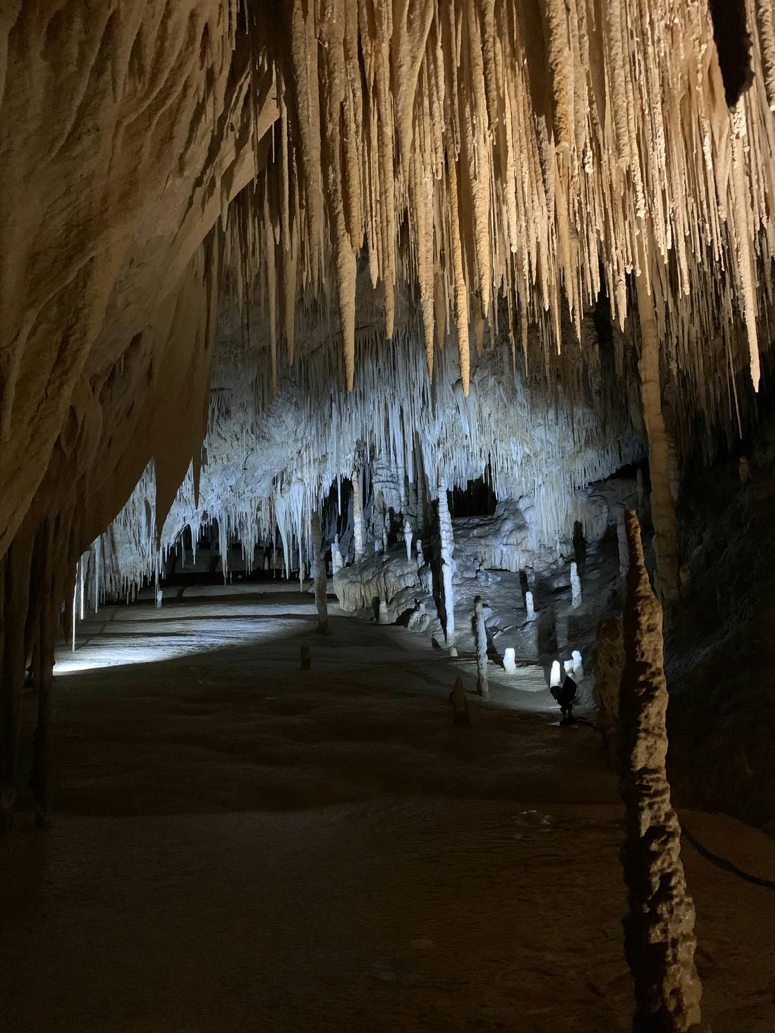Hastings Caves