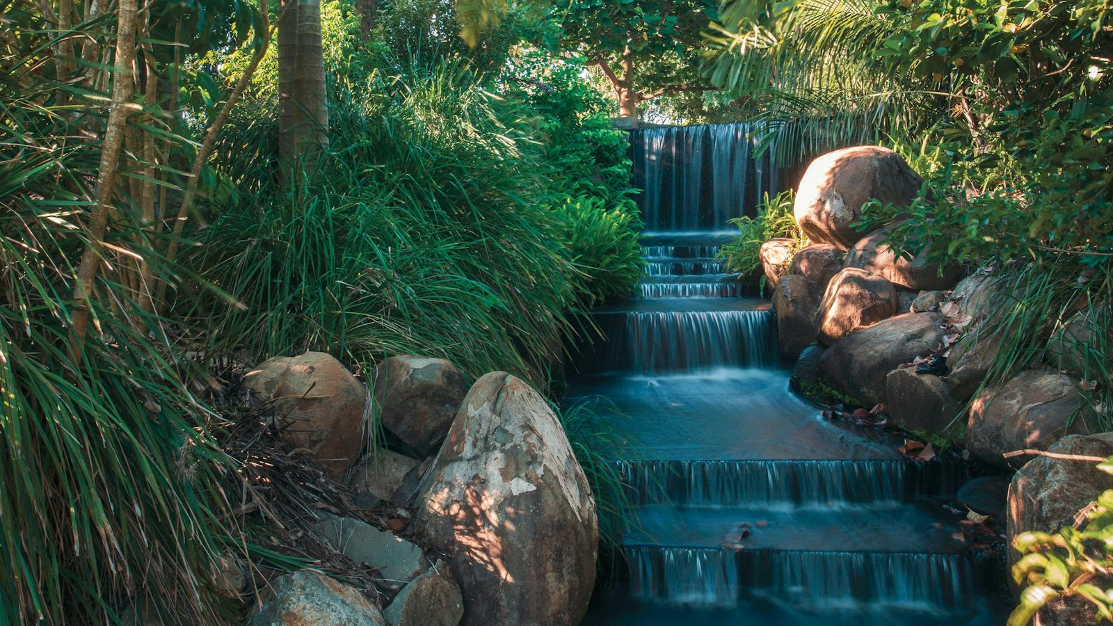 Explore Mackay's Botanic Gardens