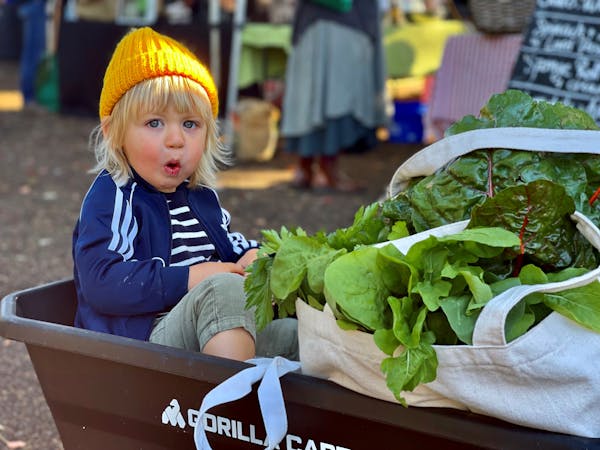 Mullumbimby Community Market